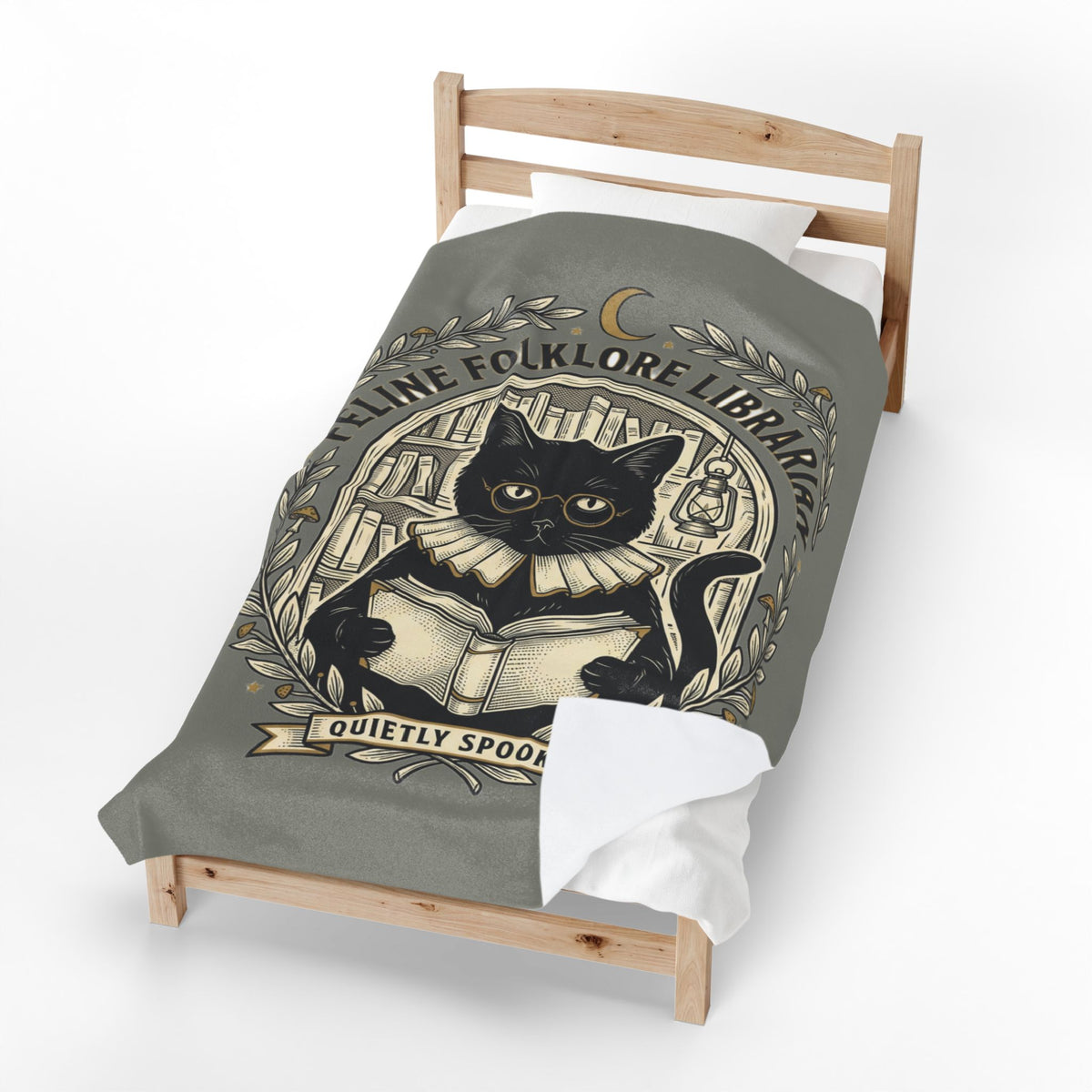 Feline Folklore Librarian Velveteen Plush Blanket | Quietly Spooky Cat Reading